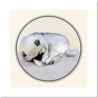 Keeshond Puppy (Sleeping) Posters and Art